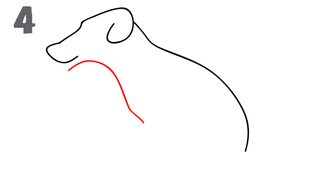 dog drawing step 4