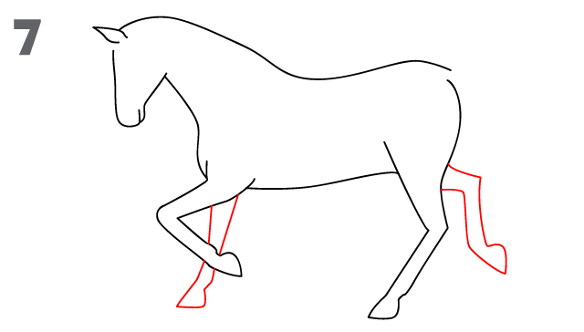 Horse drawing step 7